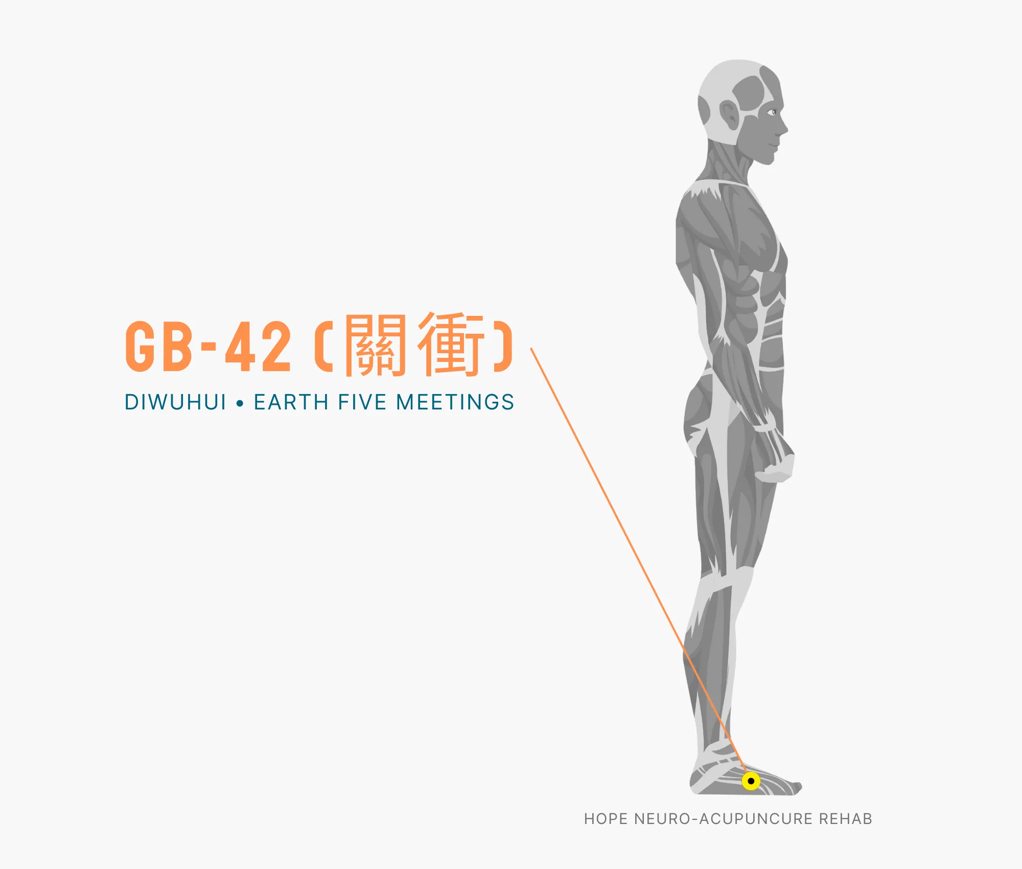 Diagram Showing Where the GB-42 Acupuncture Point (also known as (Diwuhui or Earth Five Meetings) is within the Gallbladder Meridian